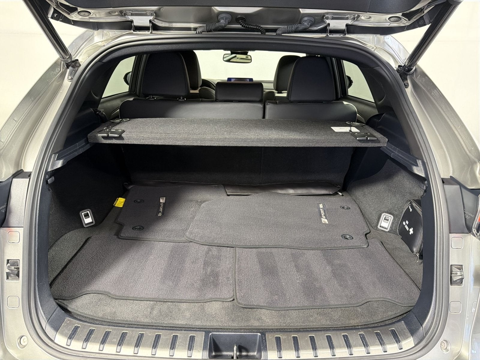 2021 Lexus NX NX 300 F SPORT