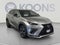 2021 Lexus NX NX 300 F SPORT